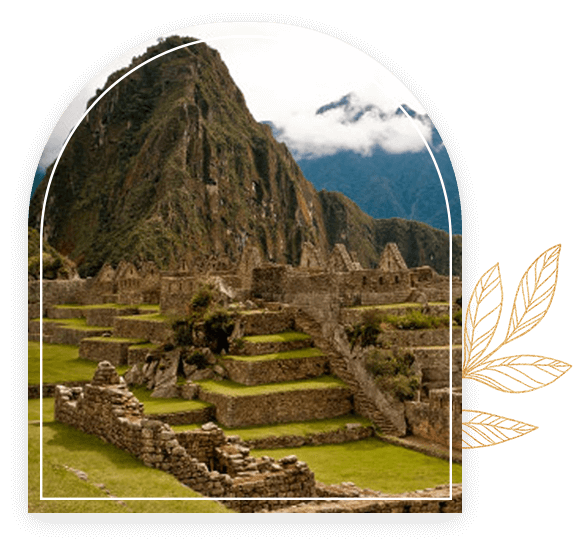 WG Events _ Peru (leaf right)