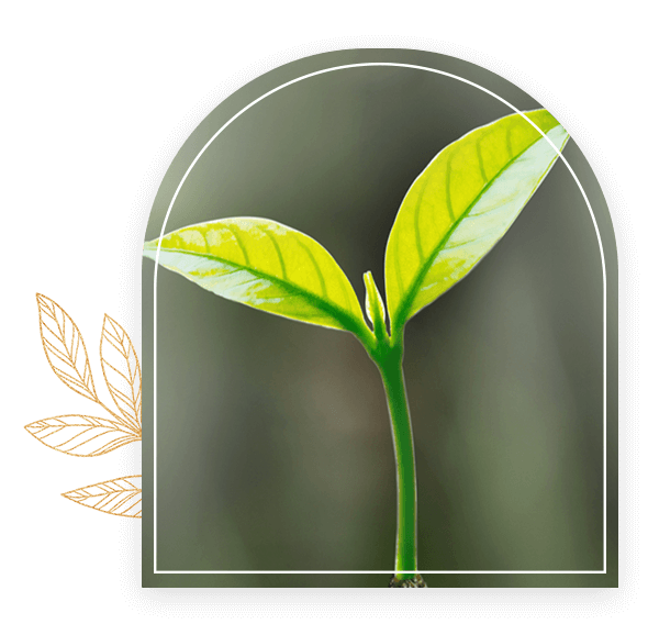 WG Events _ Spiritual Finance _ right