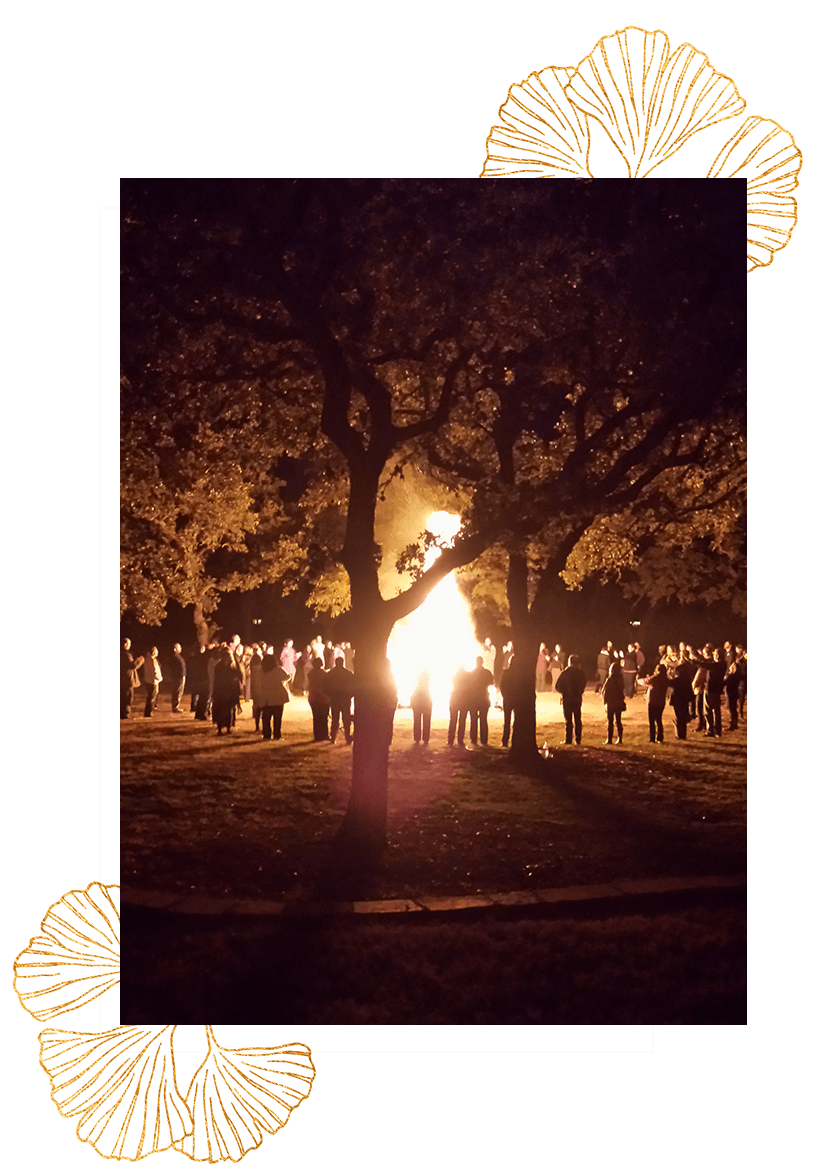 Firewalk _ white border and leaf top right-bottom left