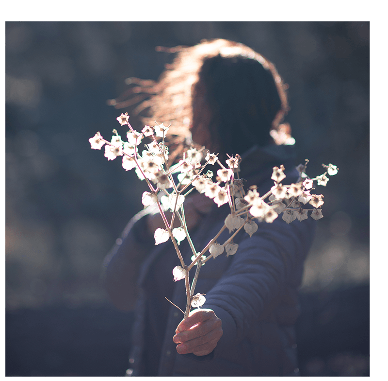 Grief _ flowers _ Ash