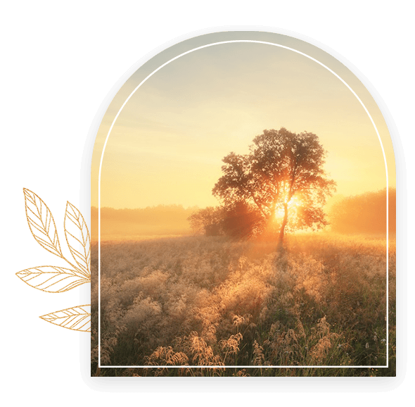 Autumn Equinox _ Day 3