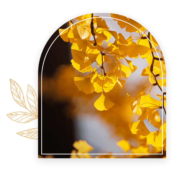 Autumn Equinox _ day 2